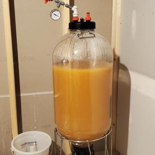 Love this thing so much that I bought a 2nd on. Fermentation under pressure is the way to go.