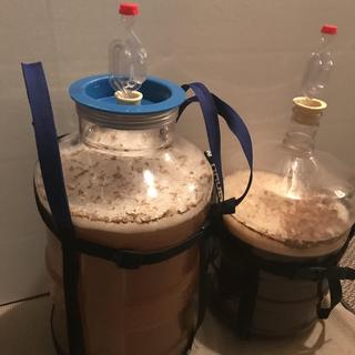 Big Brew 2021 - An American Wheat and Janet's Brown Ale chugging along with with Cali yeast.