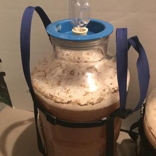 Big Brew 2021 - An American Wheat and Janet's Brown Ale chugging along with with Cali yeast.