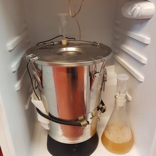 First brew with my new 3.5Gal SS Brewbucket.