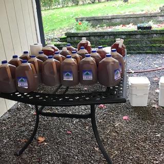 40 plus gallons of apple cider when it was all said and done!