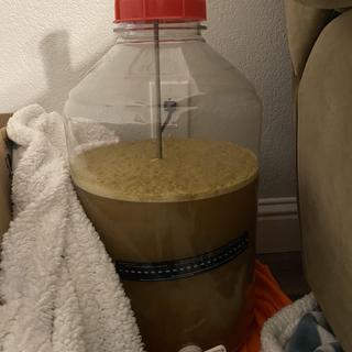Day 5 fermenter