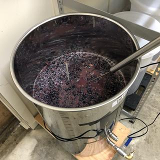 Punching down the cap during primary fermentation.