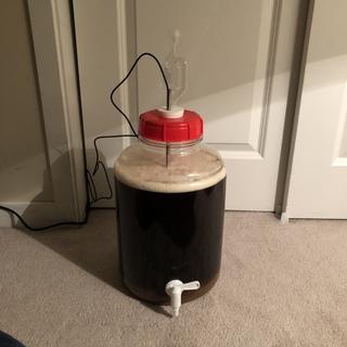 Irish Red Ale in the Fermonster with the #10 Silicone Stopper Thermowell from MoreBeer