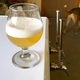 Belgian Table Beer out of my homemade keezer.