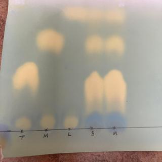 Chromatography Test Results