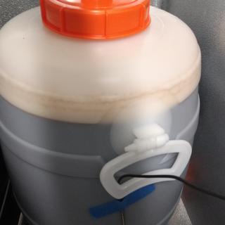 30L Speidel with 8 gallons of wort.