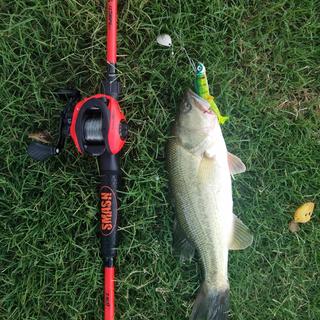 Lew's Mach Smash Baitcast Combo for Sale in Dw Gdns, TX - OfferUp