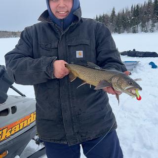 JawJacker Ice Rod 36″ XXH Spinning Pike/Lake Trout – Jaw Jacker Fishing