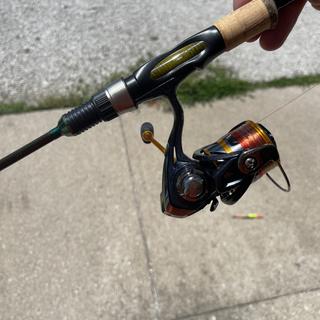 Trout Panfish Rods