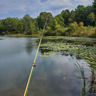 South Bend Ready2Fish Fly Fishing Rod and Reel Combo with Tackle