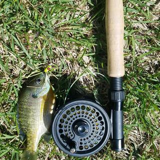 Temple Fork Outfitters NXT 6/7 Fly Rod Combo – 2 Piece