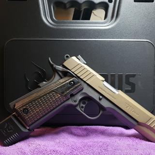 Black Details about   Wilson Combat 47-45FS10B For 1911 Magazine .45 ACP Full Size 10 Round 