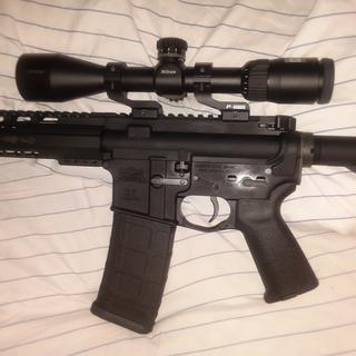 PSA AR-15 Complete Lower Magpul MOE Edition - Black, No Magazine ...