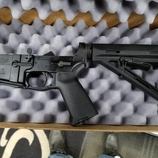 PSA AR-15 Complete Lower Magpul MOE Edition - Black, No Magazine ...