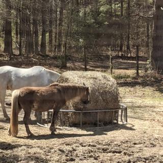 Slow Horse Hay Round Bale Net Feeder Save $$ Eliminates Waste Fits 5' x 6' Bales 