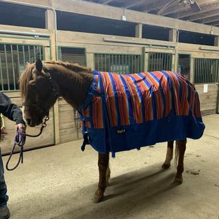 Horse Blanket/Turnout Storage Bag - Serape Print - Tough 1 - Personali –  Custom Horse and Hound