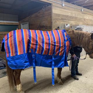 Horse Blanket/Turnout Storage Bag - Serape Print - Tough 1 - Personali –  Custom Horse and Hound