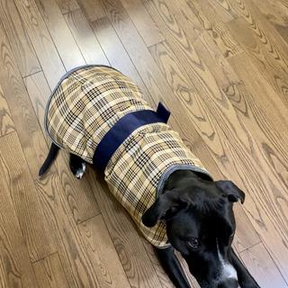 Baker Waterproof Dog Blanket X-Large 