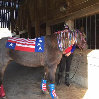 american flag horse boots