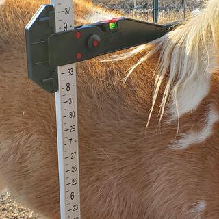 Tough-1 Aluminum Horse Measuring Stick for Miniature Horses