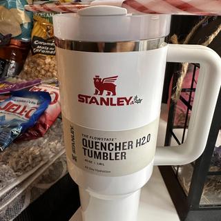 Stanley Quencher H2.0 FlowState 40 oz Tumbler - Mistletoe  Twist: Tumblers & Water Glasses