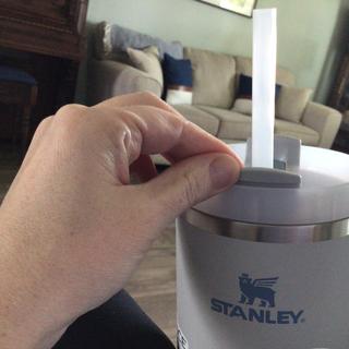 Where to Buy Alex Drummond's Stanley Quencher Tumbler