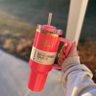 Barbie Limited Edition Stanley Style Flowstate 40oz quencher H20 Tumbler-  Limited Edition Tumbler, Barbie Gift, Pink Gift - Rally Cry