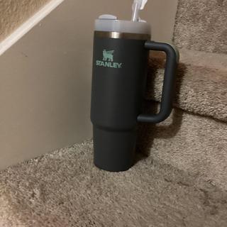 stanley cup tumbler 30oz without handle｜TikTok Search