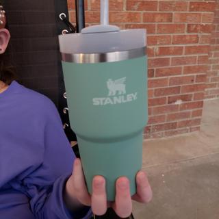 STANLEY Classic Series IceFlow Portable Straw Cup 0.88L / Neon Green - Shop  stanley-tw Vacuum Flasks - Pinkoi