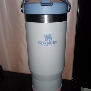 Botella Stanley Flip Straw 500 Ml. Polar - Doite Argentina