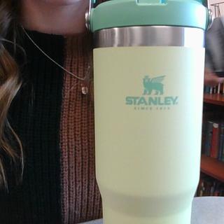 STANLEY Classic Series IceFlow Portable Straw Cup 0.88L / Neon