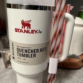 Stanley Quencher H2.0 FlowState Christmas Tumbler 40 oz - Drinksholic