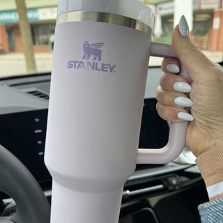 Stanley, Dining, Stanley Bay Leaf 4 Oz Quencher H20 Flowstate Tumbler Soft  Matte Nwt