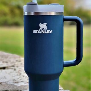 Stanley Quencher H2.0 Flowstate Travel Tumbler Mug, Soft Matte Finish, 40  Oz, Custom Color Lid! Colors Shale, Bayleaf, Red Rust & Dune!