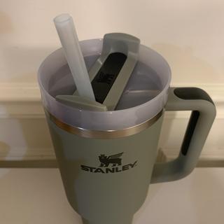 Stanley, Dining, Stanley Bay Leaf 4 Oz Quencher H20 Flowstate Tumbler  Soft Matte Nwt