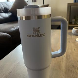 Stanley The Clean Slate Flowstate Quencher 40oz Tumbler Soft Rain Mint in  Stainless Steel - IT