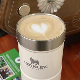 Stanley Classic 12 oz Charcoal Gray BPA Free Insulated Mug – shop
