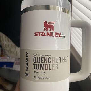 Brace Yourself for the New (Giant) Stanley Adventure Quencher The Real Deal  by RetailMeNot