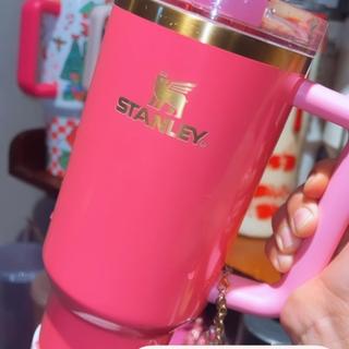 Stanley 40 oz Stainless Steel H2.0 Flowstate Quencher Tumbler-Cosmo Pink  Valentine's Day