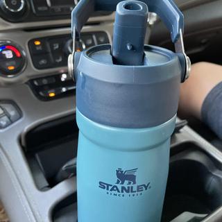 Stanley® Go Flip Straw Water Bottle - Lagoon, 22 oz - Kroger