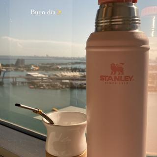 Stanley® Classic Bottle