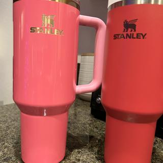 HoneyEditsseaweedBrain chose the hot pink Stanley cup 