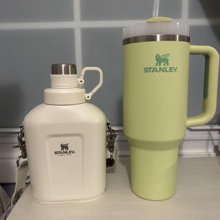 Stanley Cleanable BBP Free Stainless Steel Canteen with Shoulder