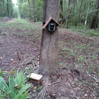 stealth cam 10 feet battery connection cable