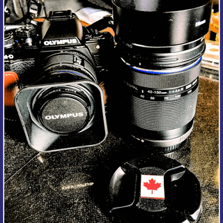 Olympus M.Zuiko Digital ED 40-150mm f/4-5.6 R Lens for Micro Four