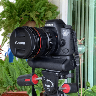【期間限定値下】Canon EOS 6D Mark II + BG-E21