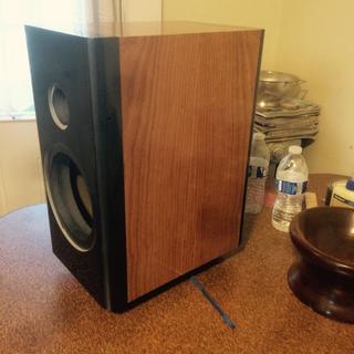 Denovo Audio Knock Down Mdf 0 56 Cu Ft Bookshelf Speaker Cabinet