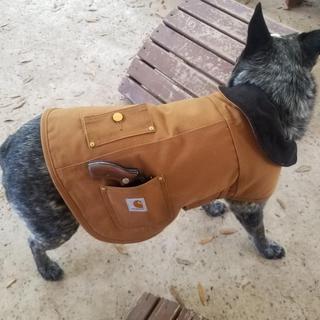 carhartt dog sweater